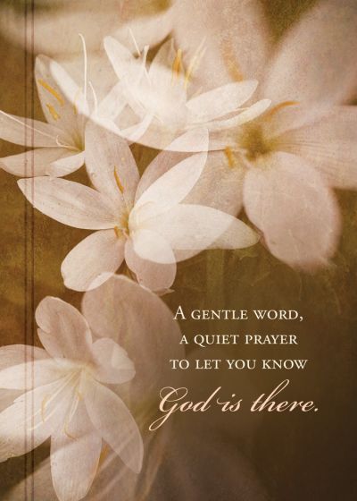 In God's Arms Boxed Cards (Pack of 12)