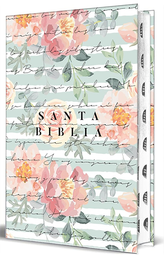 Biblia Reina Valera 1960 Letra Grande