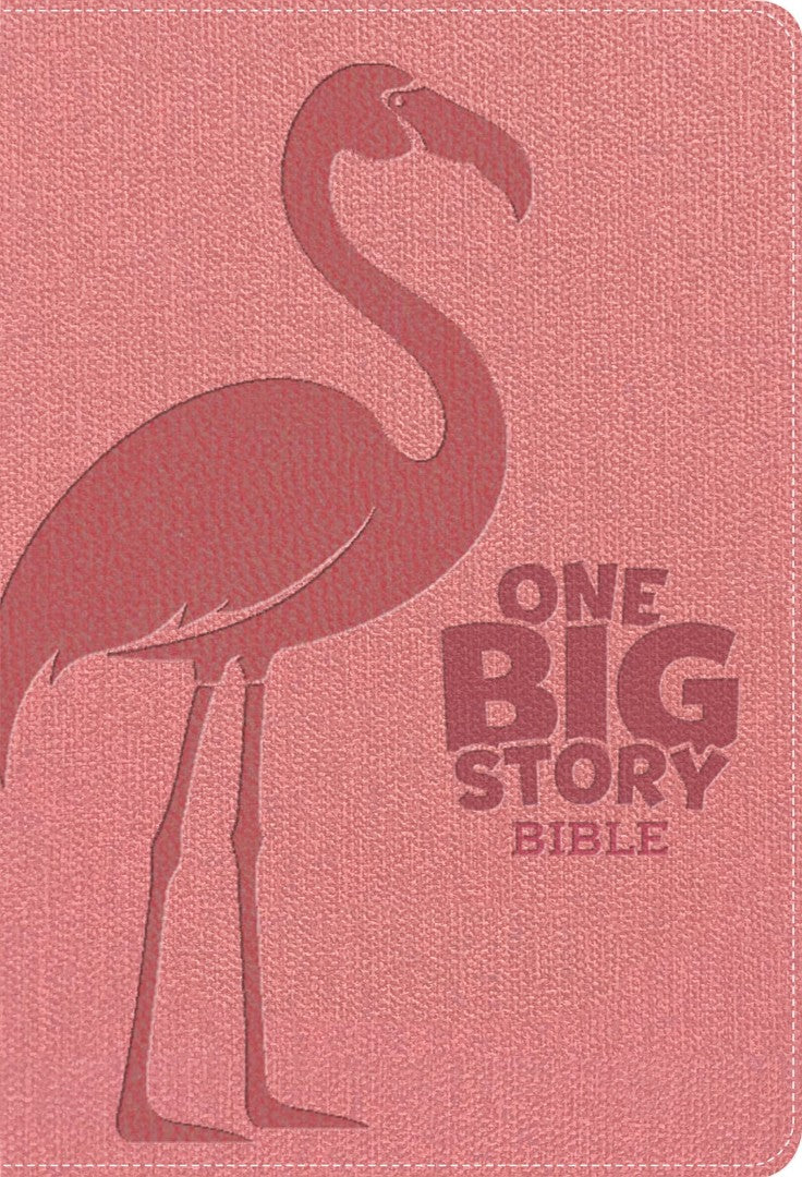 KJV One Big Story Bible, Easy-to-Read Optimal Type, Pink