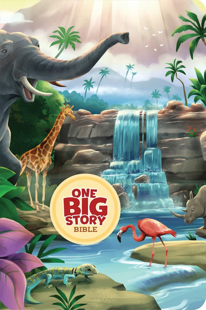 KJV One Big Story Bible, Easy-to-Read Optimal Type, Creation