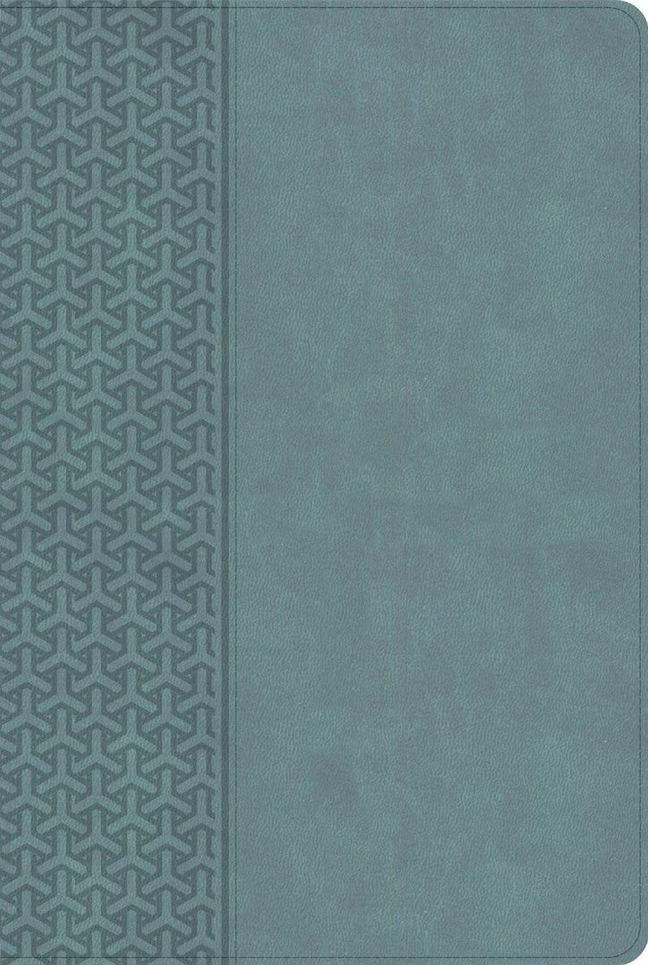 KJV Everyday Study Bible, Earthen Teal Leathertouch