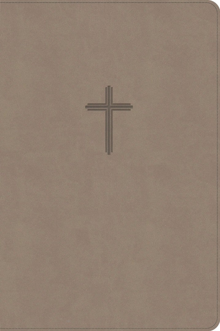 KJV Everyday Study Bible, Earth Suedesoft Leathertouch