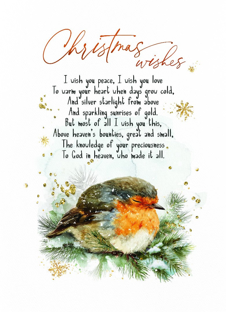 Robin Christmas Wishes Bible Card