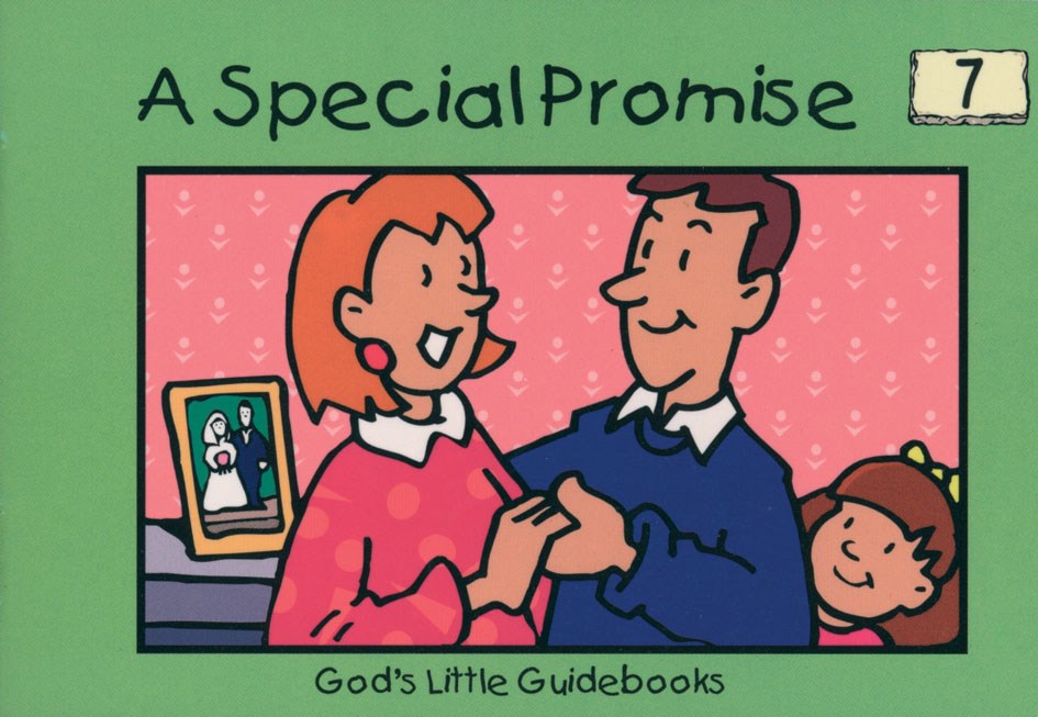 A Special Promise - Re-vived