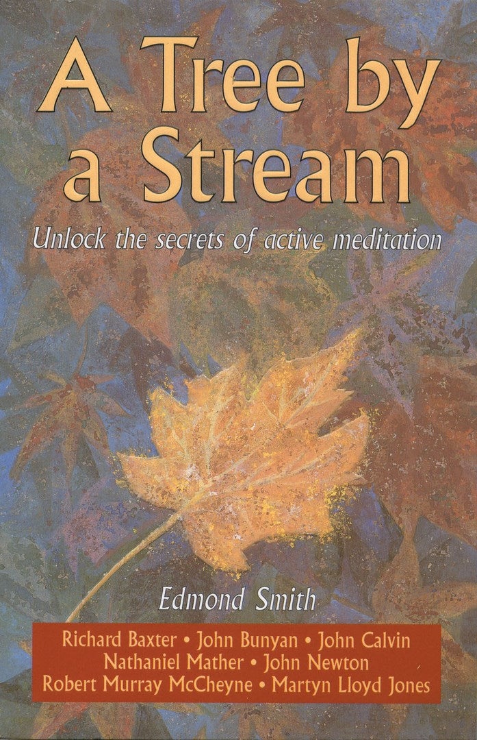 A Tree By A Stream