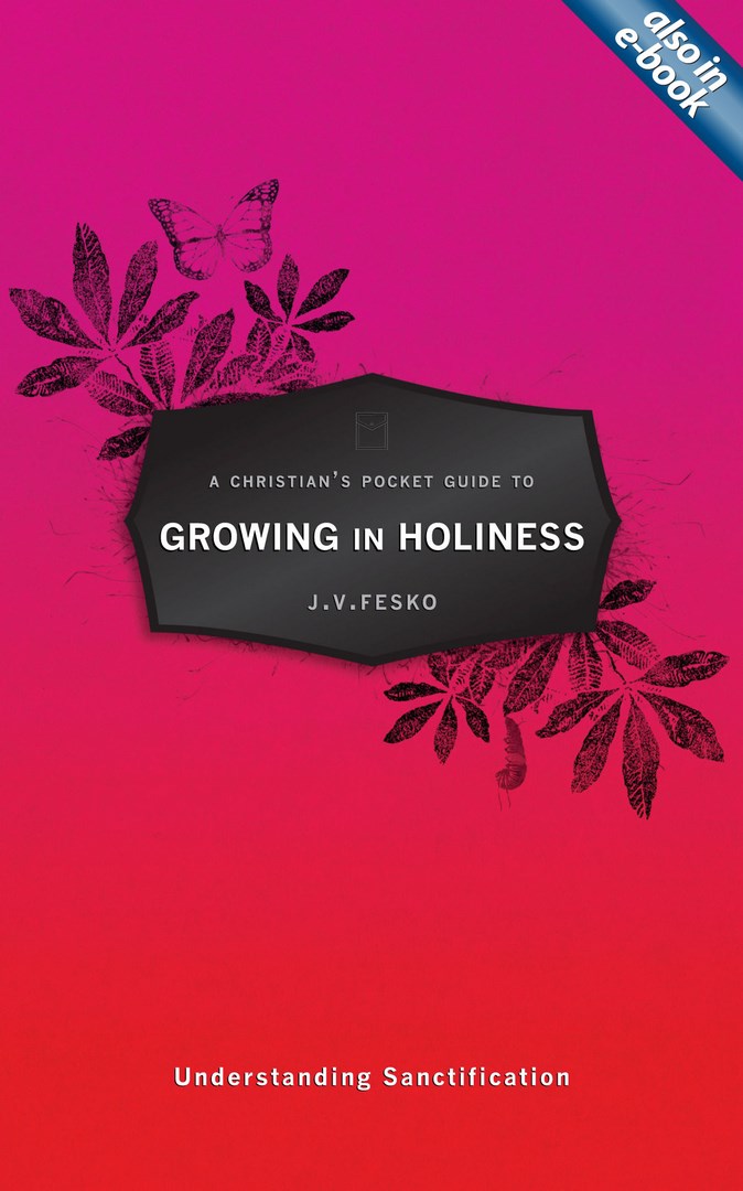 A Christian's Pocket Guide To Growing In Holiness - Re-vived