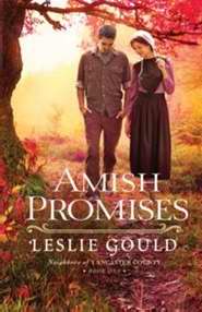 Amish Promises