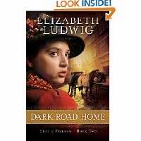 Dark Road Home
