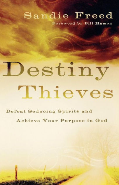 Destiny Thieves
