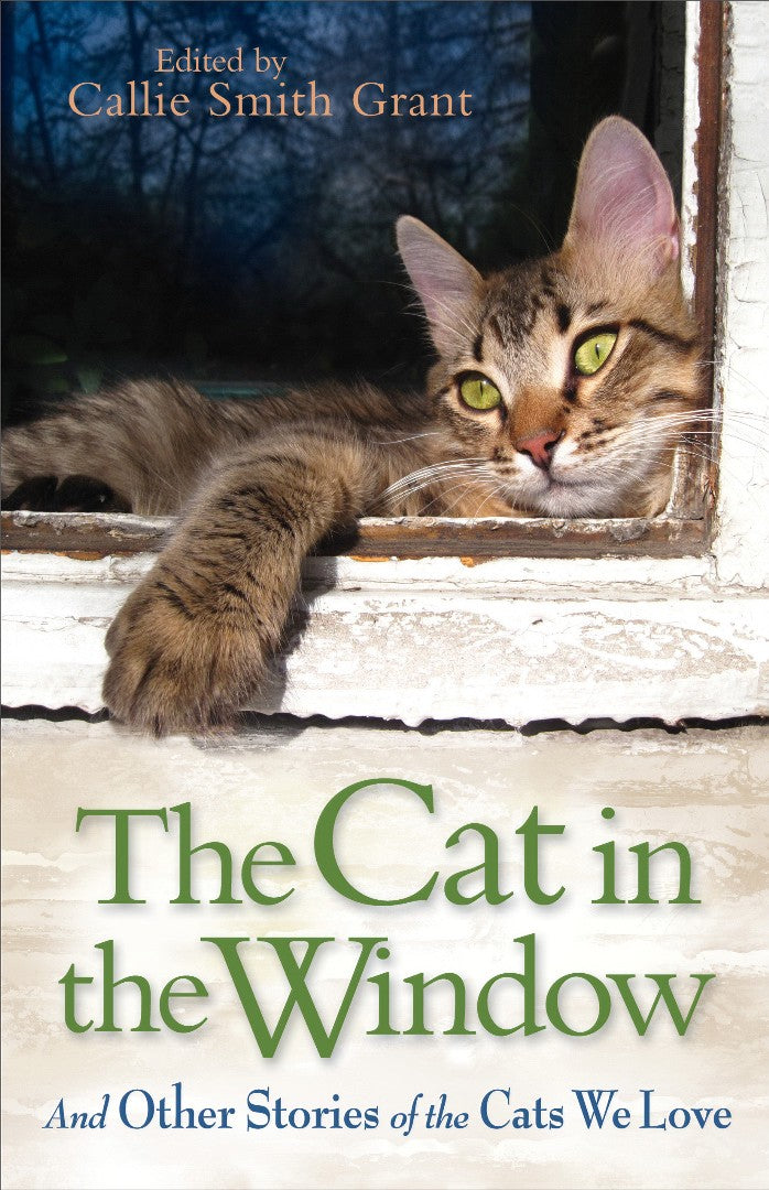 The Cat In The Window