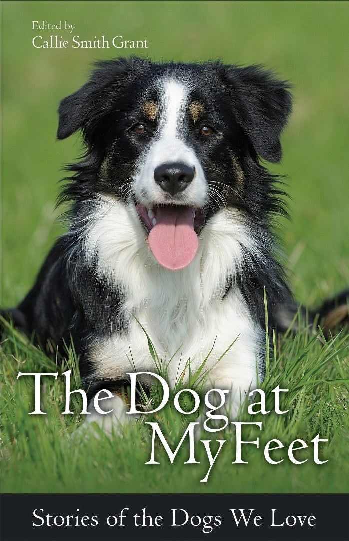 The Dog At My Feet