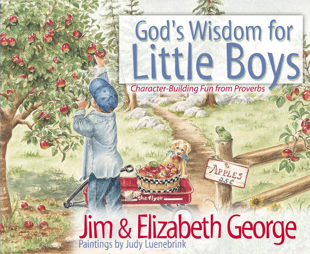 God's Wisdom for Little Boys - Re-vived