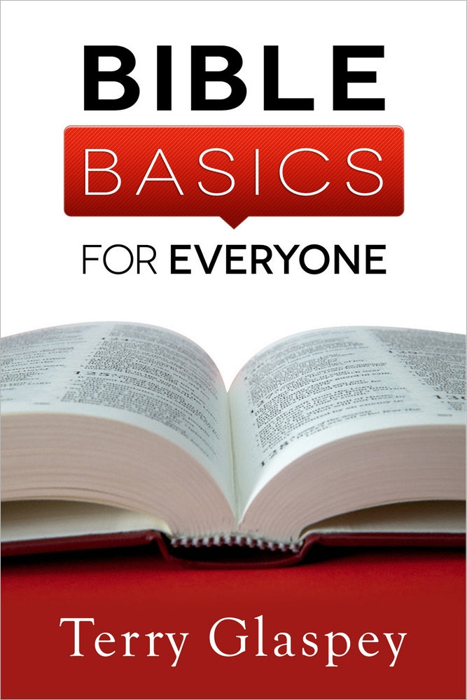 Bible Basics For Everyone - Re-vived