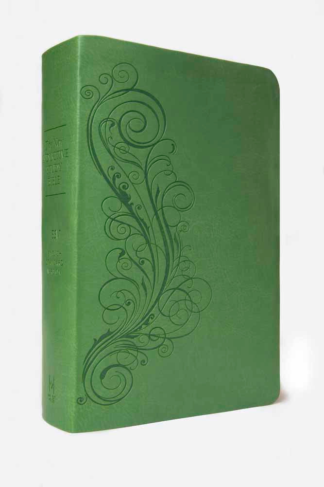 The ESV New Inductive Study Bible