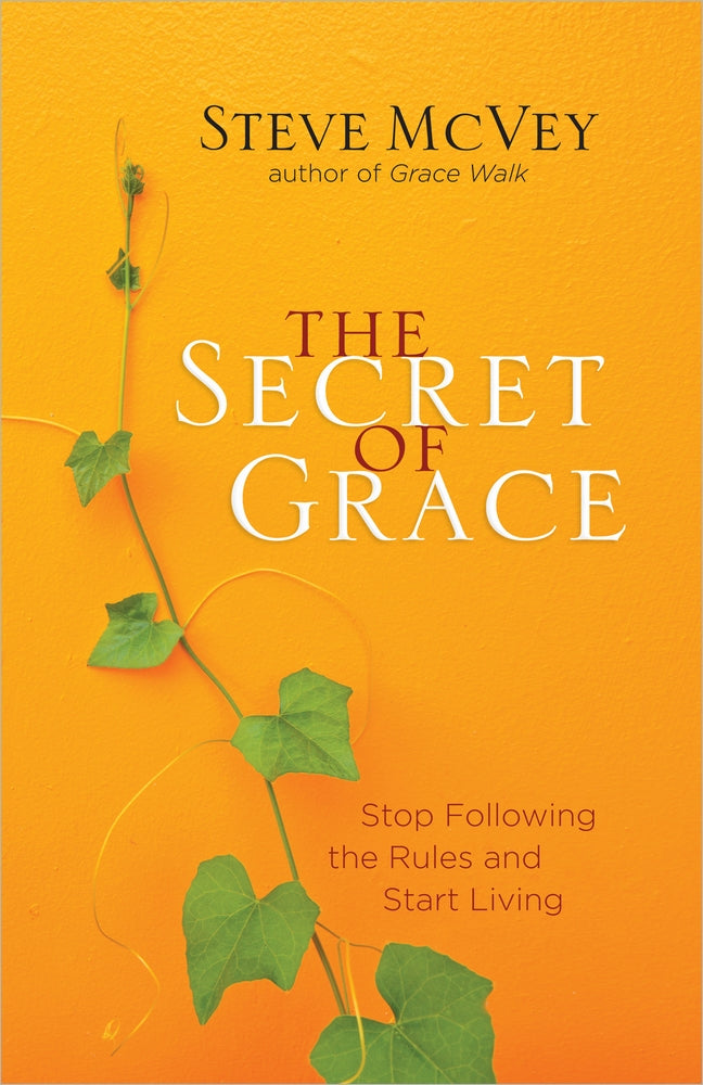 The Secret Of Grace - Re-vived