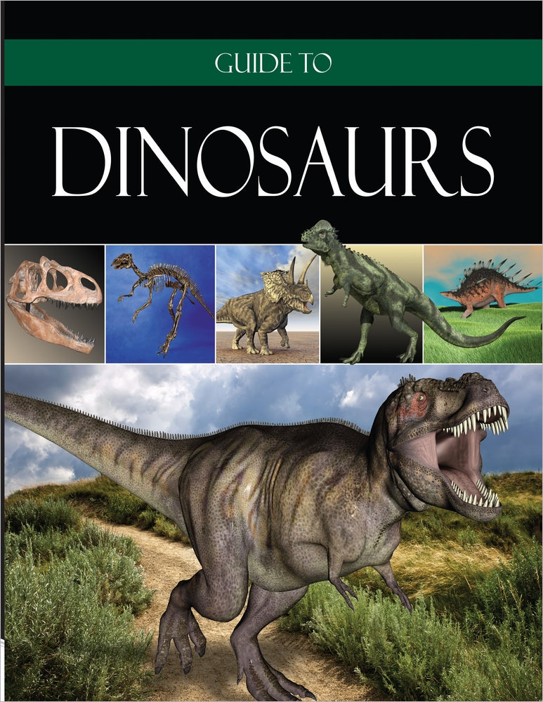 Guide To Dinosaurs - Re-vived