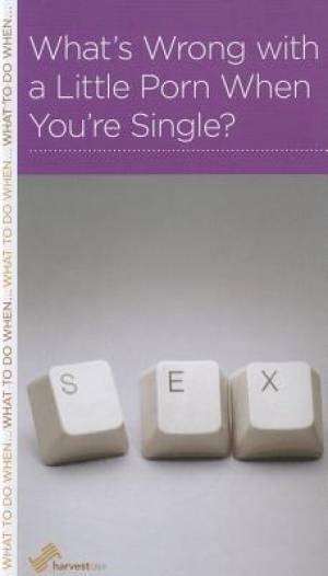 What's Wrong With A Little Porn When You're Single?