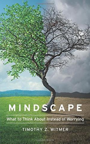 Mindscape - Re-vived