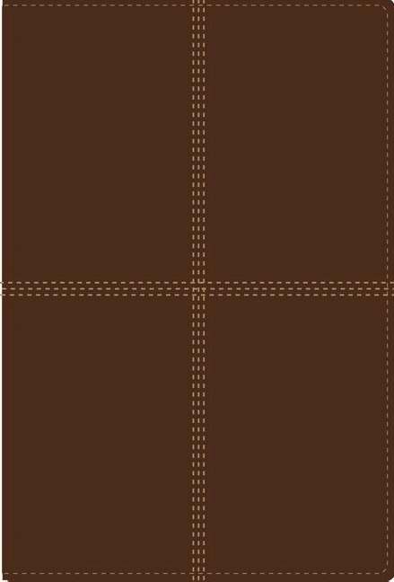 RVR 1960 Niv Bilingual Bible - Biblia Bilingue - Re-vived