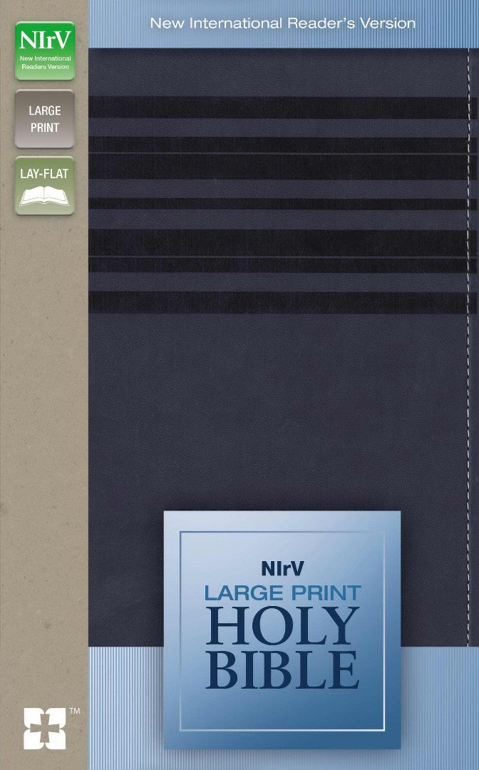NIRV Large Print Holy Bible - Re-vived