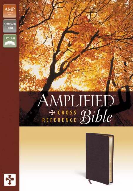 Amplified Cross-Reference Bible, Burgundy