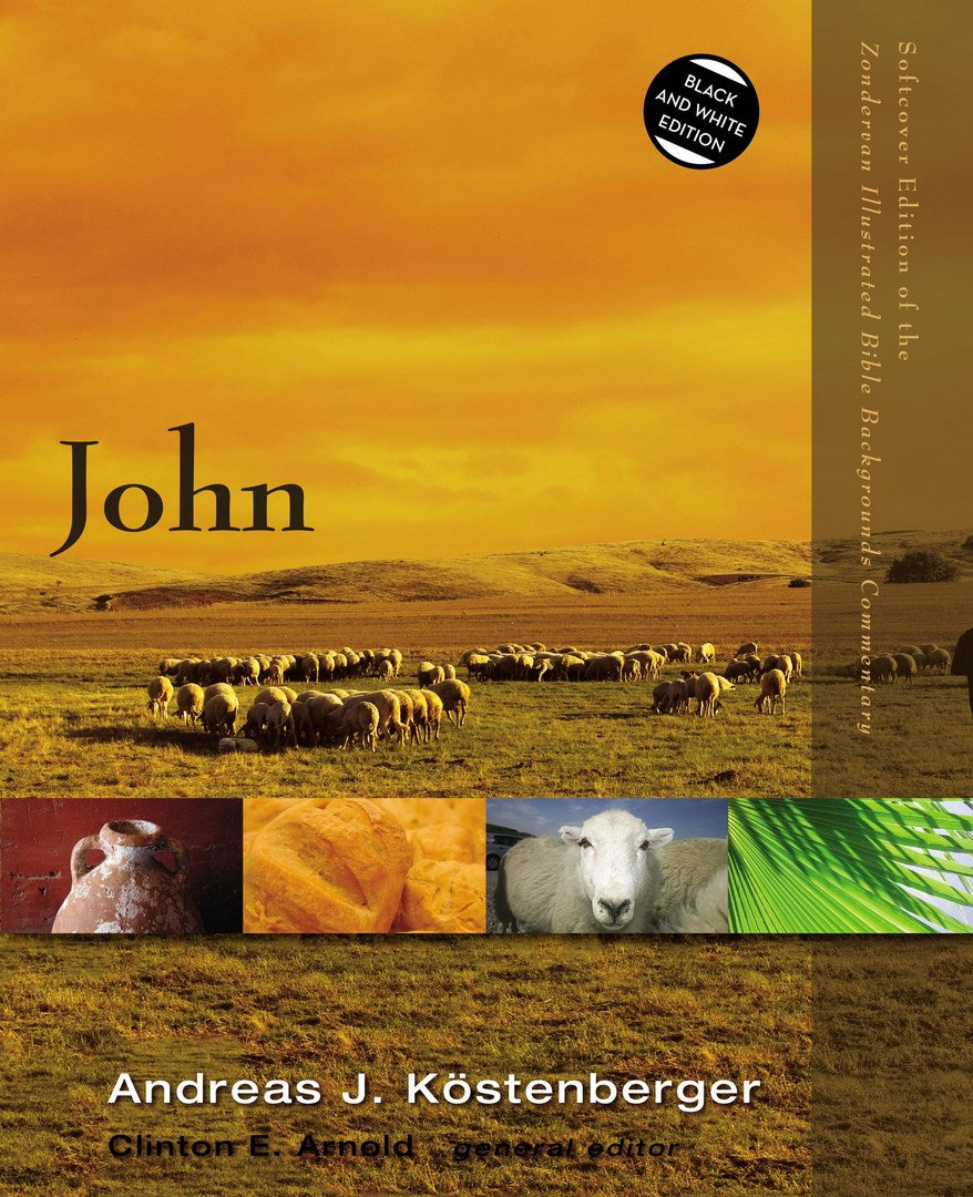 John - Re-vived