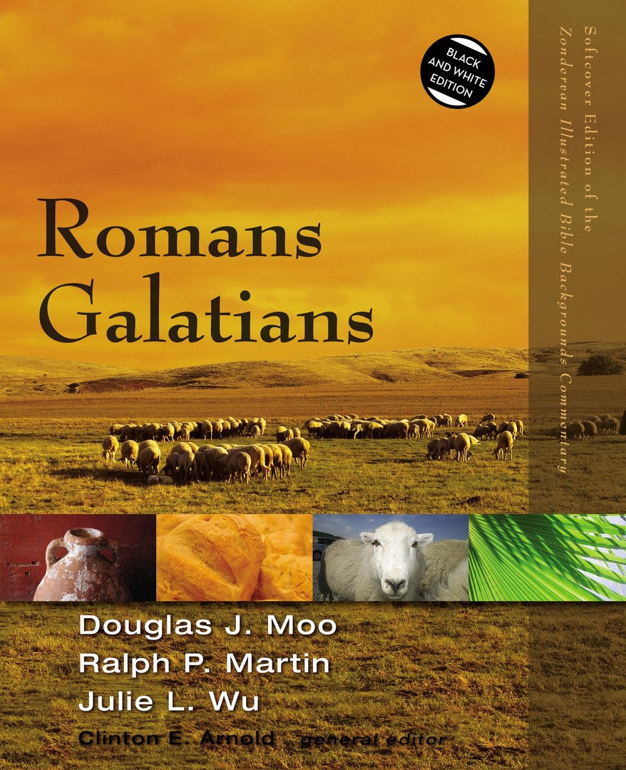 Romans, Galatians - Re-vived