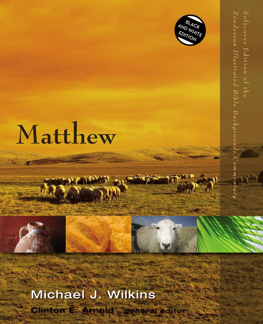 Matthew - Re-vived