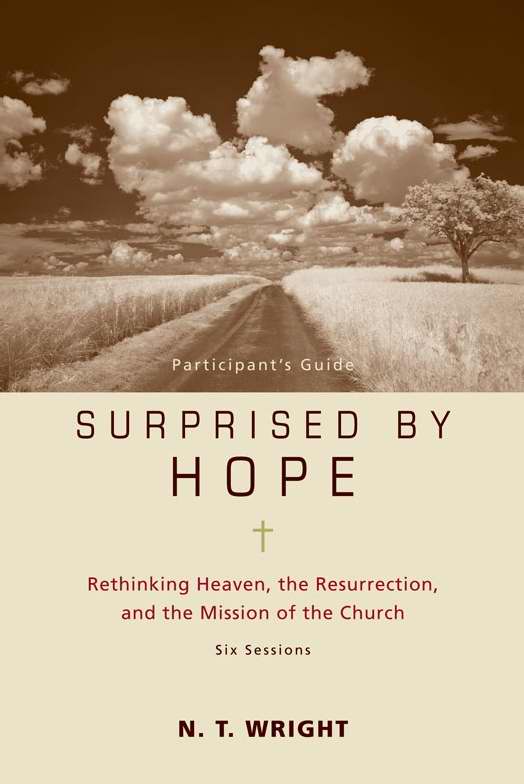 Surprised By Hope Participant's Guide