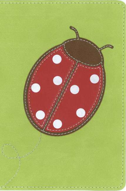 NVI Santa Biblia Ultrafina Compacta, Catarina - Re-vived