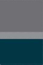 Santa Biblia Lectura Facil Nvi - Re-vived