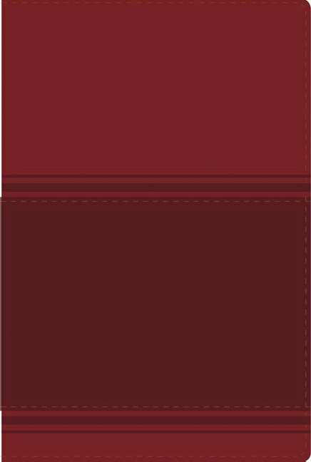 Santa Biblia Lectura Facil Nvi - Re-vived