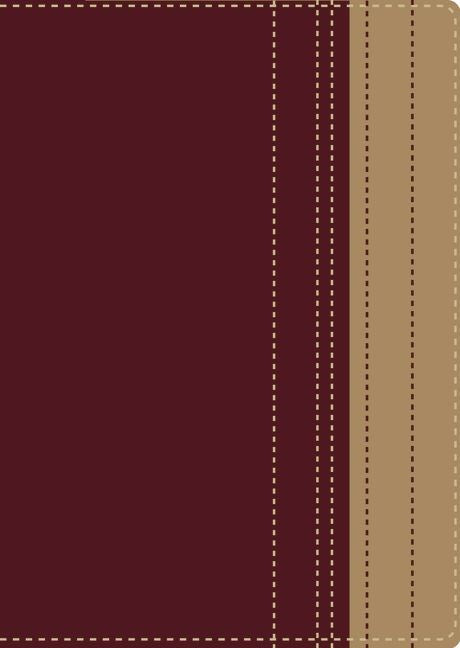 Santa Biblia Lectura Facil Rvr - Re-vived