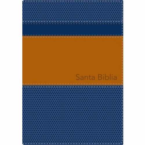 Santa Biblia De Estudio Serie 50 Rvr 1960 - Re-vived