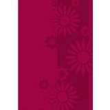 Santa Biblia Ultrafina Compacta Rvr - Re-vived