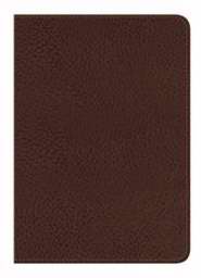 NVI Santa Biblia - Edicion Regalo - Cafe Marron - Re-vived