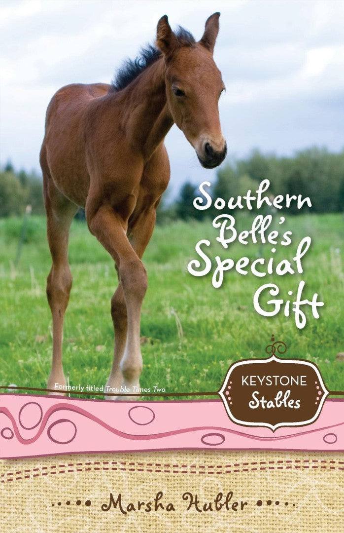 Southern Belle'S Special Gift - Re-vived