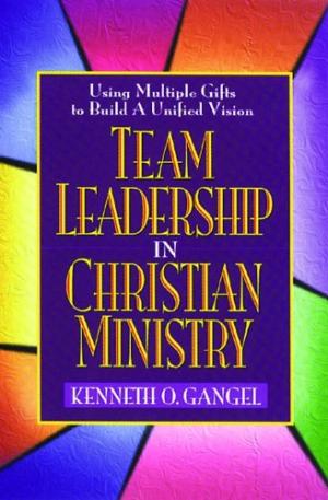 Team Leadership In Christian Ministry - Re-vived