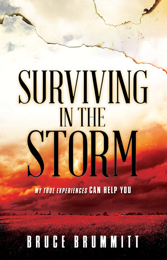 Surviving In The Storm - Re-vived