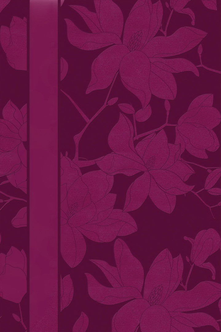 The NIV Woman's Study Bible