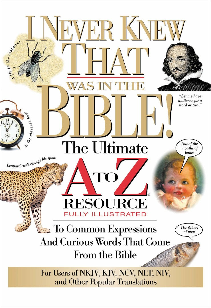 I Never Knew That Was In The Bible - Re-vived