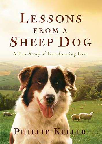 Lessons From A Sheep Dog - Re-vived