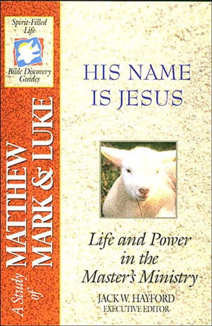 The Spirit-Filled Life Bible Discovery Series