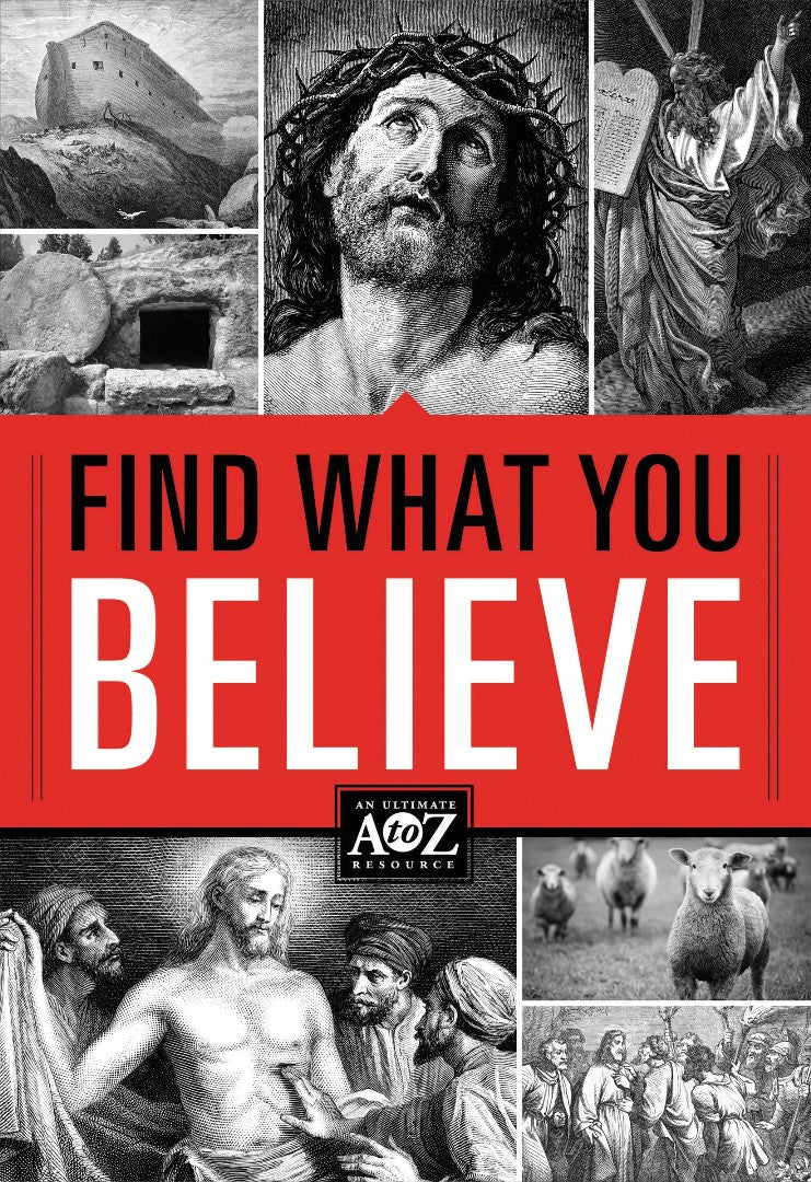 Find What You Believe - Re-vived