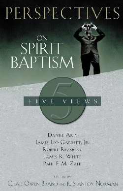 Perspectives On Spirit Baptism - Re-vived