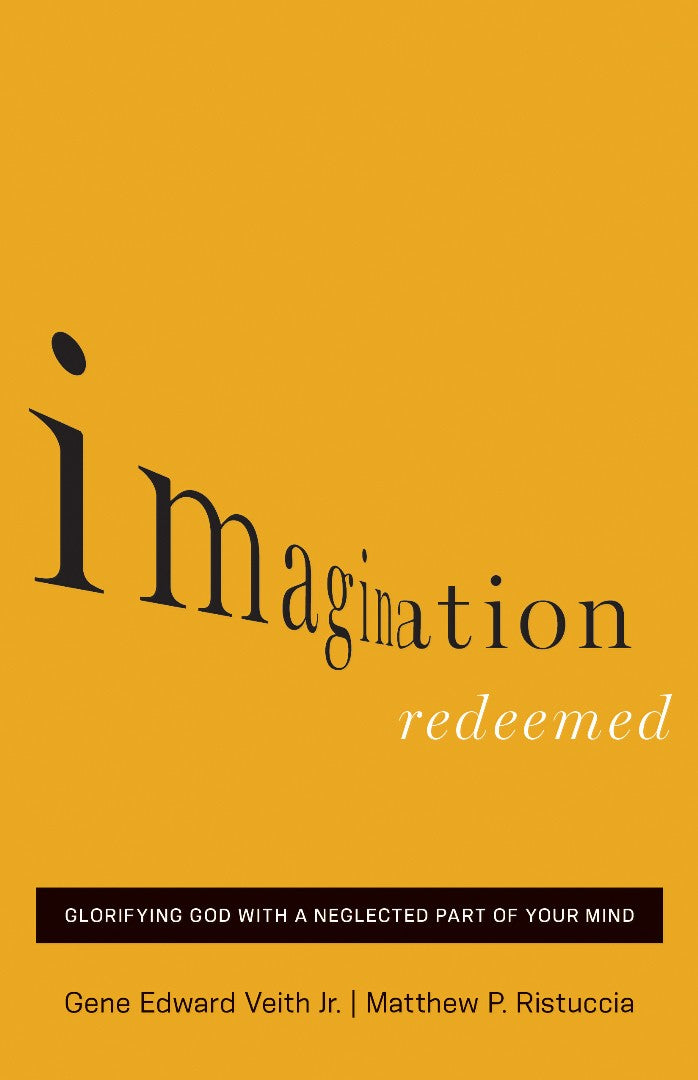 Imagination Redeemed - Re-vived