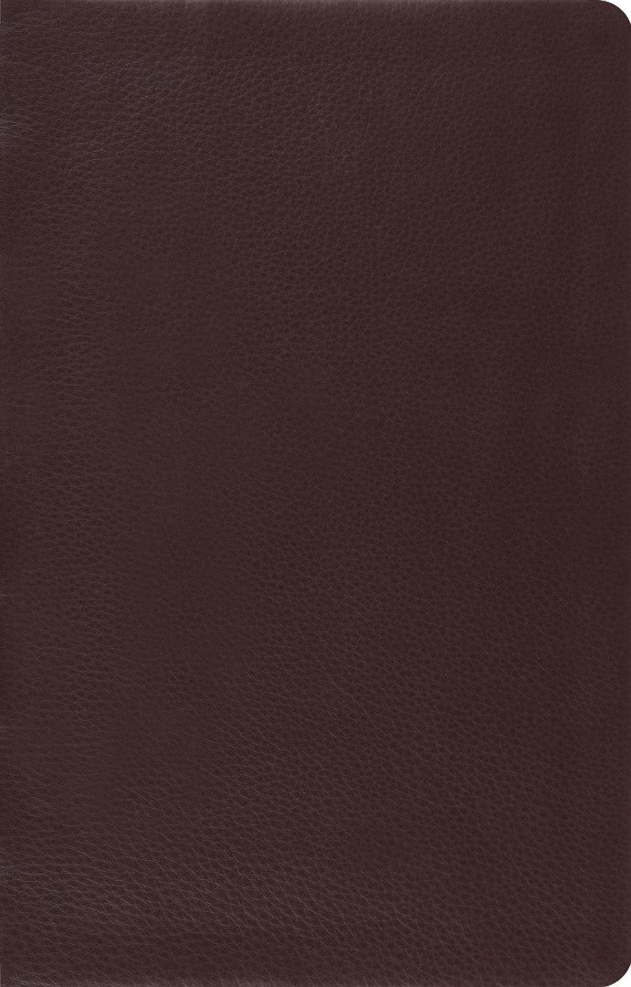 ESV Large Print Thinline Reference Bible (Brown)
