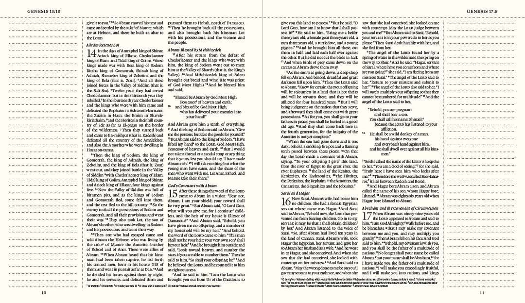ESV Journaling Bible (Mocha, Threshold Design)