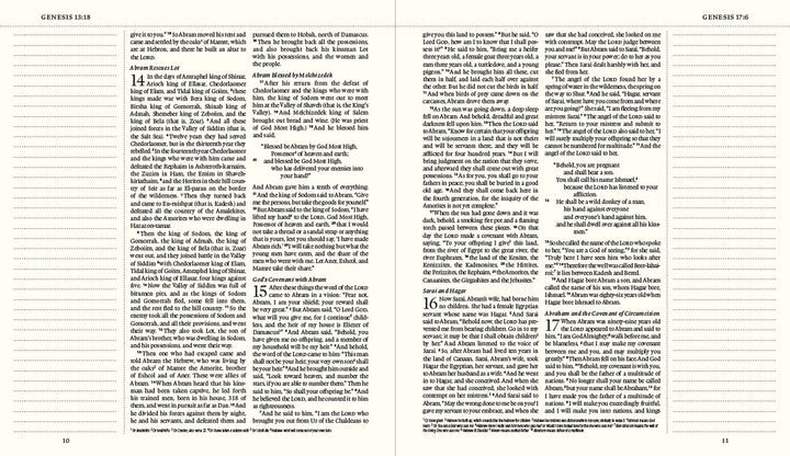 ESV Journaling Bible (Mocha, Threshold Design)