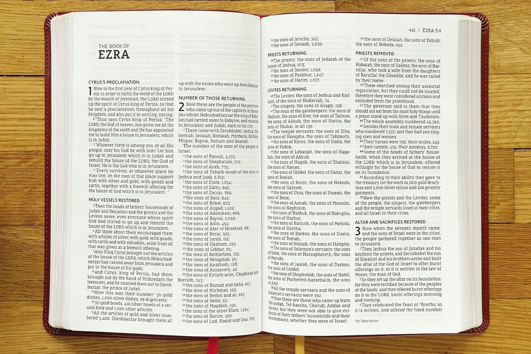 NASB Thinline Bible, Large Print, Borwn, Red Letter Edition - Re-vived